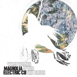 Виниловая пластинка Magnolia Electric Company - What Comes After The Blues