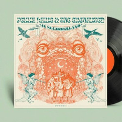 Виниловая пластинка Pekka Laine - Pekka Laine &amp; The Enchanted in Slumberland