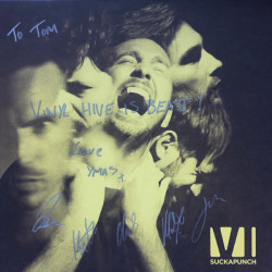 Виниловая пластинка You Me At Six - Suckapunch (Deluxe Edition)