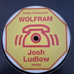 Виниловая пластинка Wolfram &amp; Josh Ludlow - Yo Yo Disco