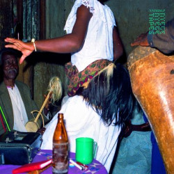 Виниловая пластинка Various Artists - Buganda Royal Music Revival