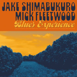 Виниловая пластинка Jake Shimabukuro &amp; Mick Fleetwood - Blues Experience