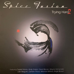 Виниловая пластинка Spice Fusion - Trying Hard 2