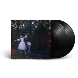 Виниловая пластинка Alice Wolf - Visions Of A Life (2LP)