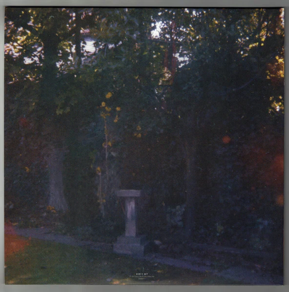 Виниловая пластинка Alice Wolf - Visions Of A Life (2LP)