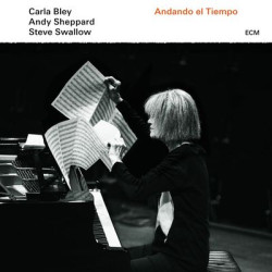 Виниловая пластинка Carla Bley Andy Sheppard Ste - Andando El Tiempo