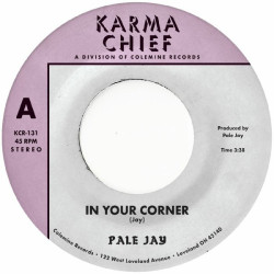 Виниловая пластинка Pale Jay - In Your Corner B/W Bewilderment