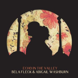 Виниловая пластинка Bela Fleck &amp; Abigail Washburn - Echo In The Valley