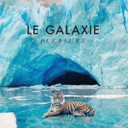 Виниловая пластинка Le Galaxie - Pleasure