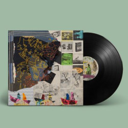Виниловая пластинка Animal Collective - Time Skiffs