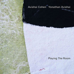 Виниловая пластинка Cohen Avishai/Yonathan Avishai - Playing The Room