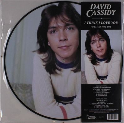 Виниловая пластинка David Cassidy - I Think I Love You - Greatest