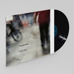 Виниловая пластинка Gard Nilssen Acoustic Unity - Elastic Wave