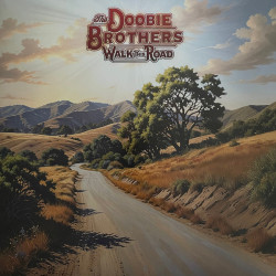 Виниловая пластинка The Doobie Brothers - Walk This Road (США)
