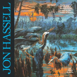 Виниловая пластинка Jon Hassell - The Surgeon Of The Nightsky