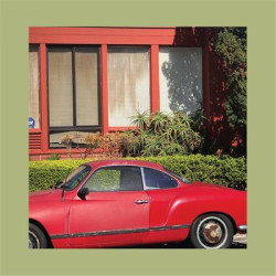 Виниловая пластинка The Reds, Pinks And Purples - The Town That Cursed Your Name