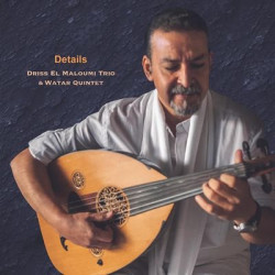 Виниловая пластинка Driss El Maloumi Trio &amp; Watar - Details