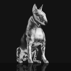 Виниловая пластинка Riskee &amp; The Ridicule - Platinum Statue