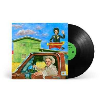 Виниловая пластинка Hayden Pedigo - I'Ll Be Waving As You Drive Away