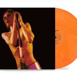 Виниловая пластинка Iggy &amp; The Stooges - Raw Power