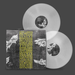 Виниловая пластинка Various Artists - A Hideous Collective