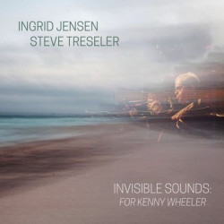 Виниловая пластинка Jensen Ingrid/Steve Treseler - Invisible Sounds For Kenny Wh