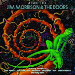 Виниловая пластинка Various Artists - A Tribute To Jim Morrison &amp; Th