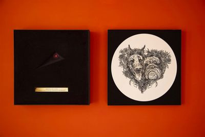 Виниловая пластинка Bush, Kate - Hounds Of Love - Lost At Sea (2LP/White/Box)
