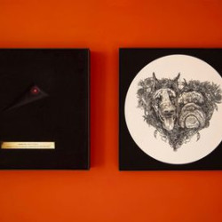 Виниловая пластинка Bush, Kate - Hounds Of Love - Lost At Sea (2LP/White/Box)