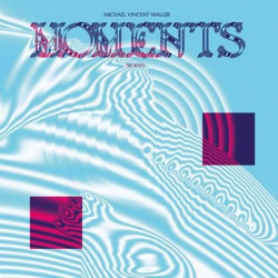 Виниловая пластинка Michael Vincent Waller - Moments - Remixes (Colored Vinyl 2Lp)