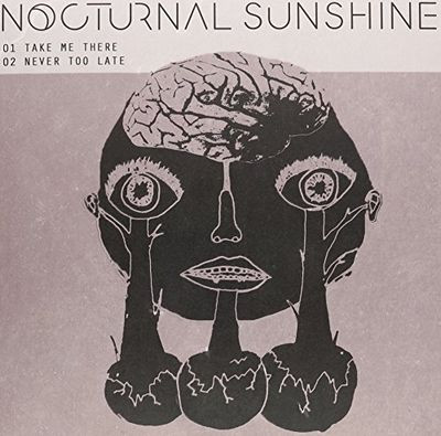 Виниловая пластинка Nocturnal Sunshine - Take Me There