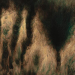 Виниловая пластинка William Basinski - Lamentations