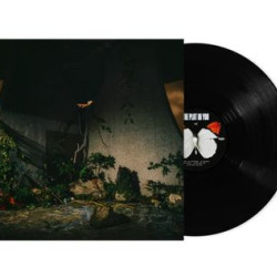 The Plot In You - The Plot In You (LP)