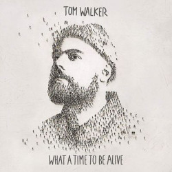 Виниловая пластинка Tom Walker - What a Time To Be Alive