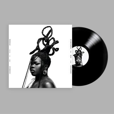 Виниловая пластинка Danielle Ponder - Everything Has Changed (LP)
