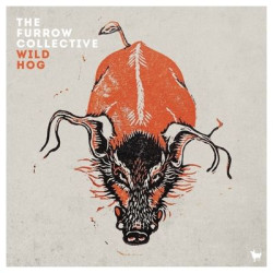 Виниловая пластинка Furrow Collective The - Wild Hog