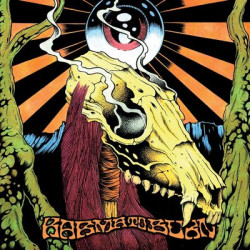 Виниловая пластинка Karma To Burn - S/T (Coloured Vinyl)