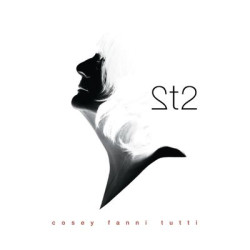 Виниловая пластинка Cosey Fanni Tutti - 2T2