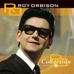 Виниловая пластинка Roy Orbison - Collection (1LP Coloured)