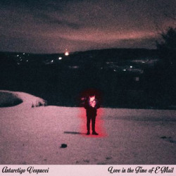Виниловая пластинка Antarctigo Vespucci - Love In The Time Of E-Mail