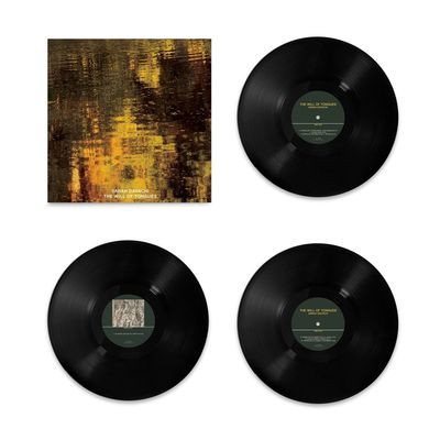 Виниловая пластинка Sarah Davachi - The Will Of Tongues (LP)