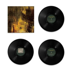 Виниловая пластинка Sarah Davachi - The Will Of Tongues (LP)