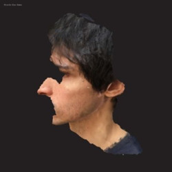 Виниловая пластинка Ricardo Dias Gomes - Aa