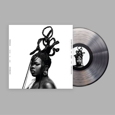 Виниловая пластинка Danielle Ponder - Everything Has Changed (LP)