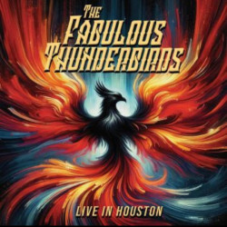 Виниловая пластинка The Fabulous Thunderbirds - Live In Houston