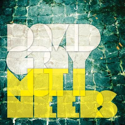 Виниловая пластинка Gray, David - Mutineers (2LP/GF/180G/MP3)