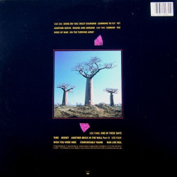 Виниловая пластинка Pink Floyd - Delicate Sound Of Thunder (2LP)