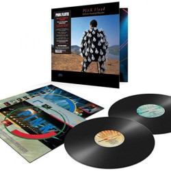Виниловая пластинка Pink Floyd - Delicate Sound Of Thunder (2LP)