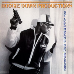 Виниловая пластинка Boogie Down Productions - By All Means Necessary (1LP)