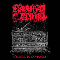 Виниловая пластинка Carnal Tomb - Osseous Sarcophagus